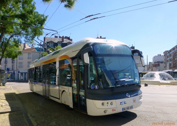 Cristalis vue de profil